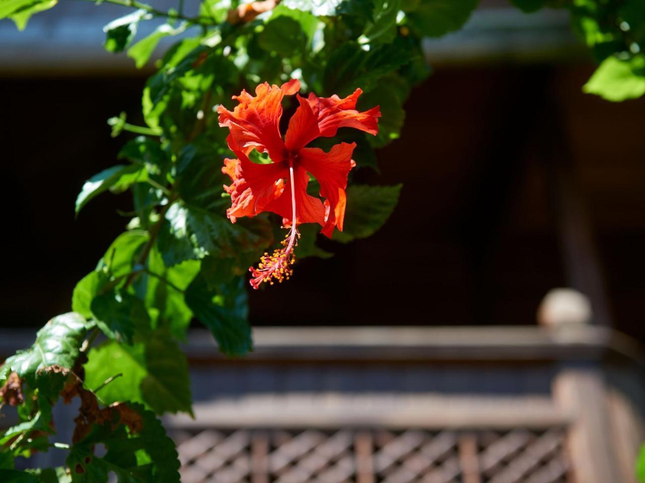 Jasri Bay Hideaway Hotel Exterior foto
